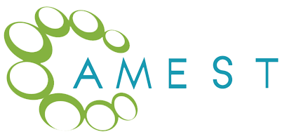 AMEST-LOGO